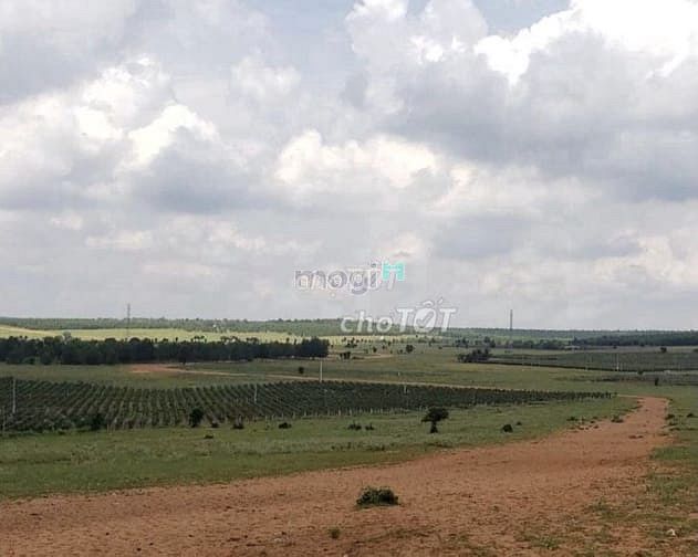 Hình ảnh Sang lô đất Lương Sơn gần SÂN BAY PHAN THIẾT, CAO TỐC BẮC NAM