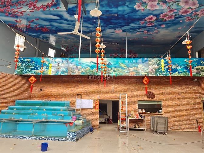 Hình ảnh cho thuê Nhà cộng hòa tb 15x20m 1t2l