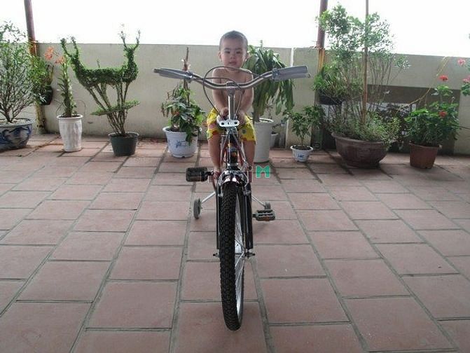 Hình ảnh Chung cư mini quận Hoàng Mai, 45m2, cho thuê giá rẻ.