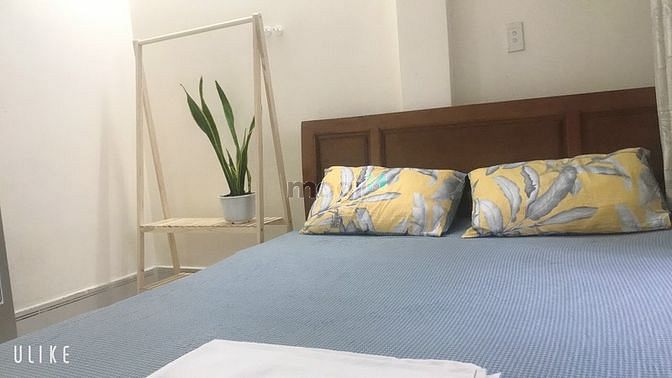 Hình ảnh Cho thuê Trang Chủ MB66.COM / Đăng Ký Tặng 66K đủ nội thất hẻm 391 Trần Hưng Đạo, Q.1