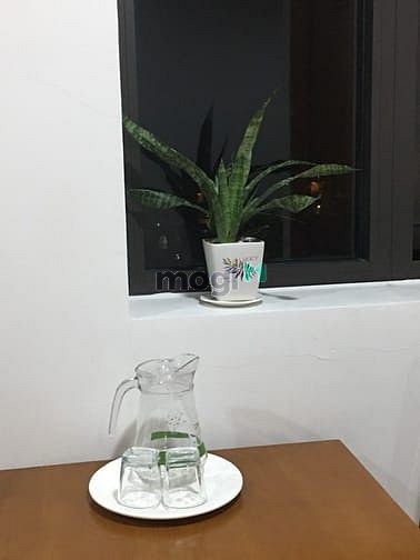 Hình ảnh Cho thuê CH tầng 5 view biển mát mẻ,45 m2,full nội thất,miễn phí dọn V