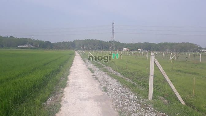 Hình ảnh Đất Củ Chi giá rẻ bán gấp 1,1 tỷ