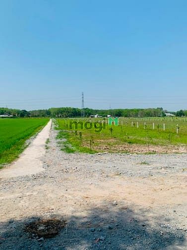 Hình ảnh Đất Củ Chi giá rẻ bán gấp 1,1 tỷ