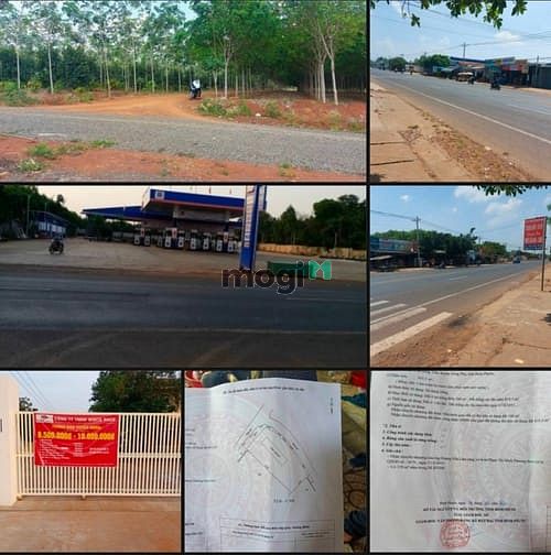 Hình ảnh Nguồn thơm 1000m2 , có thổ cư tại Đồng Phú