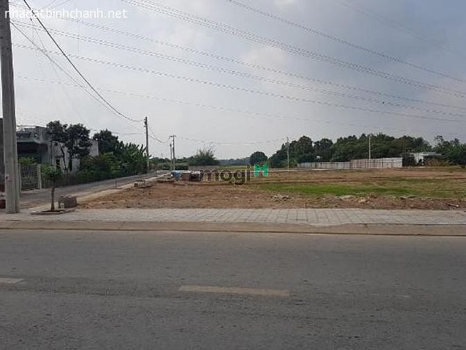 Hình ảnh Đất TC 80m2 MT Đoàn Nguyễn Tuấn,Bình Chánh_80m2_950 tr_shr
