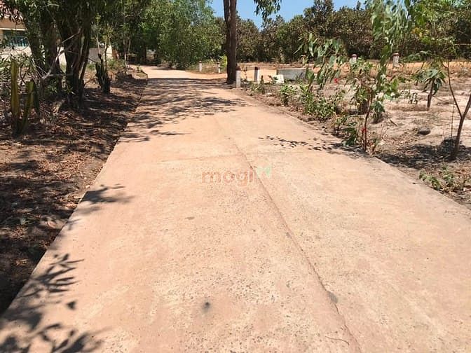 Hình ảnh Đất thổ cư 456 m2. Tân thắng ,Bình thuận. Kẹt tiền cần bán gấp giá 700