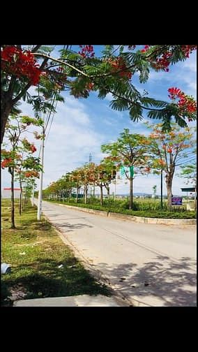 Hình ảnh 💥💥Siêu Phẩm Đất Nền💥💥 🔥🔥Dự Án Khu Đô Thị Cao Cấp Sao Mai🔥🔥