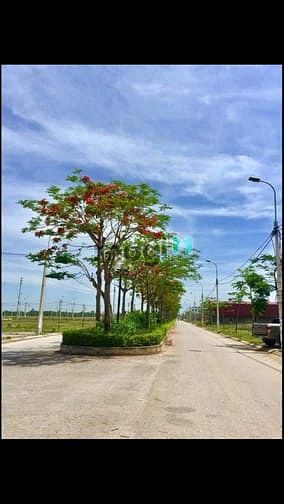 Hình ảnh 💥💥Siêu Phẩm Đất Nền💥💥 🔥🔥Dự Án Khu Đô Thị Cao Cấp Sao Mai🔥🔥