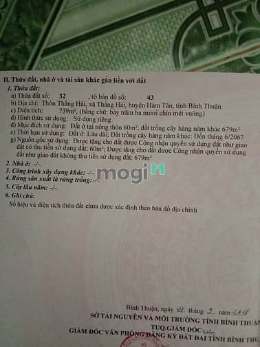 Hình ảnh Đất đối diện chợ Thắng Hải,Bình Thuận. Giá 950 tr