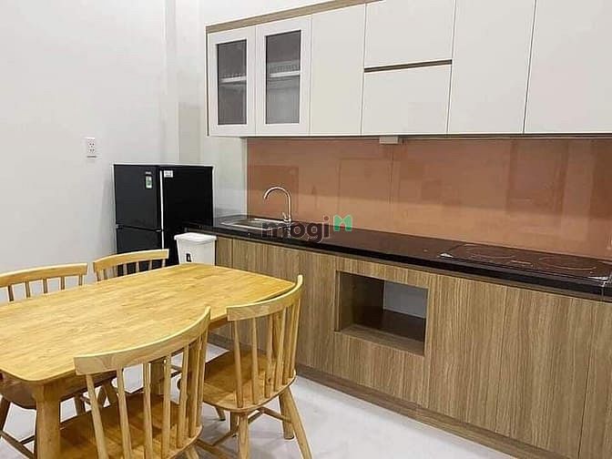Hình ảnh Cho Thuê Căn Hộ 35M2, Quận Tân Phú, Đầy Đủ Nội Thất
