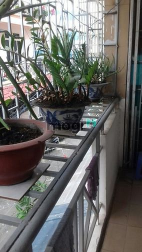 Hình ảnh Chung cư full nội thất 2PN 60m2 368/7 Phan Văn Trị