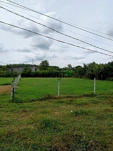 Hình ảnh Cần bán đất 1/ đường Bùi Thị Điệt - xã Nhuận Đức - Củ Chi