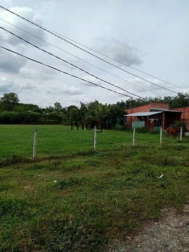 Hình ảnh Cần bán đất 1/ đường Bùi Thị Điệt - xã Nhuận Đức - Củ Chi