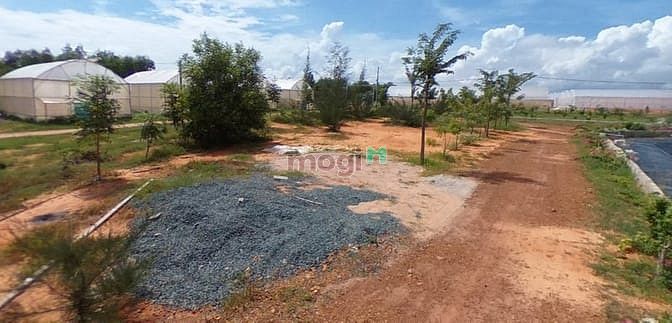 Hình ảnh Đất kề đường liên huyện ra sân bay. Sẵn sổ