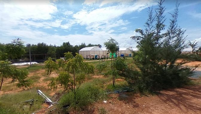 Hình ảnh Đất kề đường liên huyện ra sân bay. Sẵn sổ