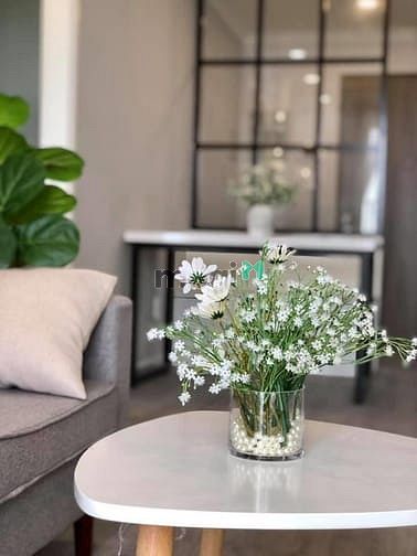 Hình ảnh + Cho thuê Trang Chủ MB66.COM / Đăng Ký Tặng 66K cao cấp Emerald - Celadon City.