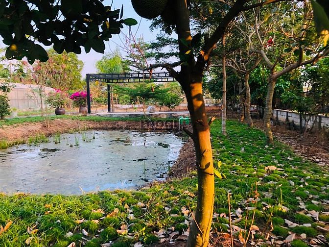 Hình ảnh Đất biệt thự vườn View sông - kế nhà thờ tổ Hoài Linh,Q9.Dt:1400m2