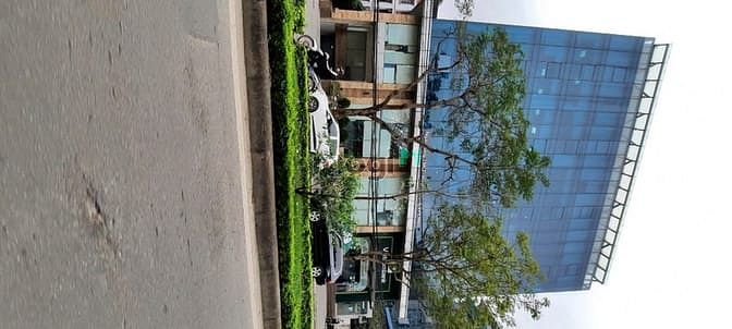 Hình ảnh Mặt phố víp Hoàng Quốc Việt 205m2 giá đẹp cho Trang MB66.COM Chính Thức - MB 66 Uy Tín.
