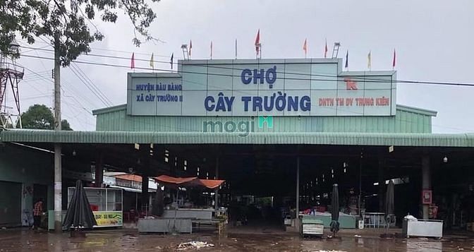 Hình ảnh bán lô đất 1000m2 sổ sẵn ngay chợ Cây Trường