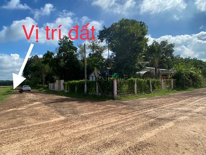 Hình ảnh bán lô đất 1000m2 sổ sẵn ngay chợ Cây Trường