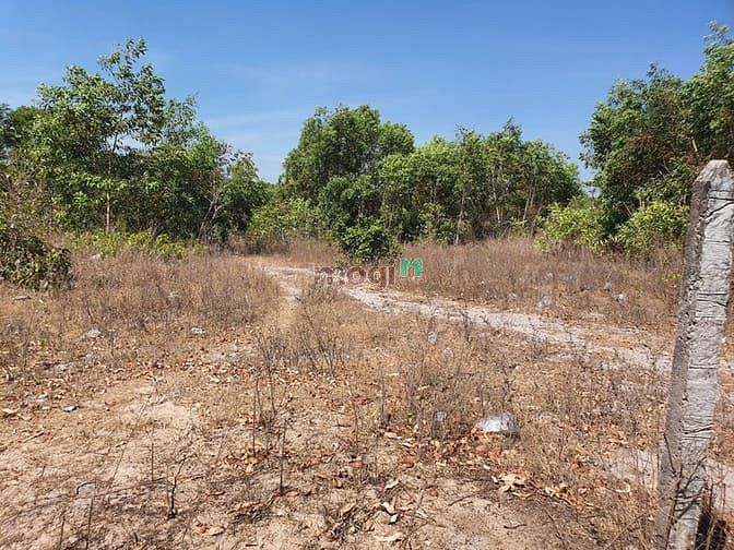 Hình ảnh Bán đất thổ cư Tân Phước, thị xã LaGi giá gốc sát biển