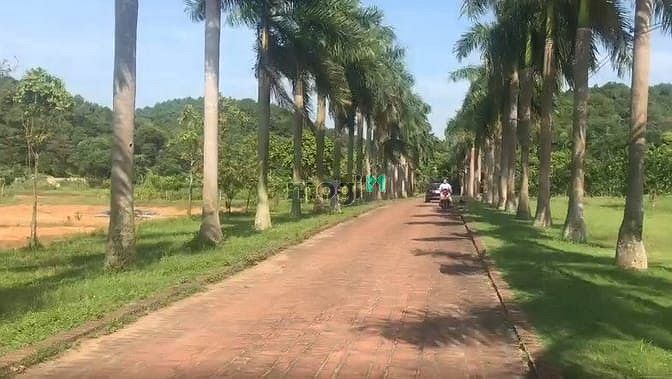 Hình ảnh Mình cần bán mấy lô đất thuộc xã Minh Phú, Minh Trí, huyện Sóc Sơn.