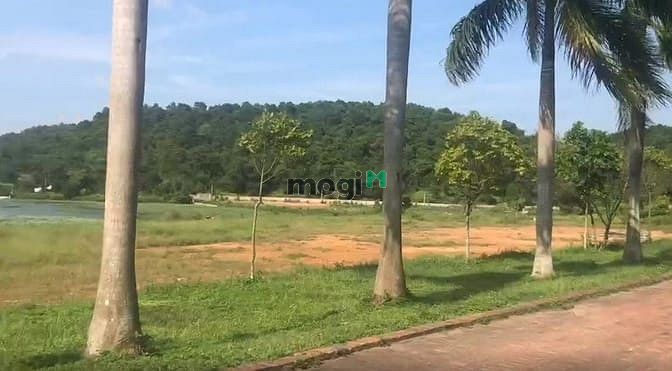 Hình ảnh Mình cần bán mấy lô đất thuộc xã Minh Phú, Minh Trí, huyện Sóc Sơn.