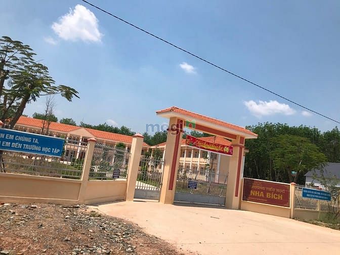Hình ảnh BÁN ĐẤT BÌNH PHƯỚC, cơ hội cho Trang MB66.COM Chính Thức - MB 66 Uy Tín sinh lời, pháp lý rõ ràng.