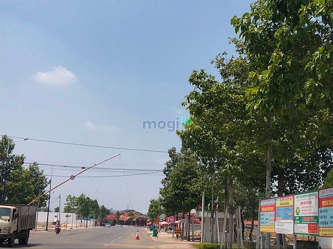 Hình ảnh BÁN ĐẤT BÌNH PHƯỚC, cơ hội cho Trang MB66.COM Chính Thức - MB 66 Uy Tín sinh lời, pháp lý rõ ràng.