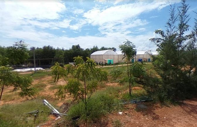 Hình ảnh 🔥Đất bình thuận giá chỉ 70.000/m2🔥🌳🌳