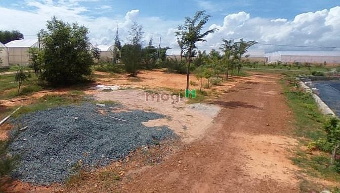 Hình ảnh 🔥Đất bình thuận giá chỉ 70.000/m2🔥🌳🌳