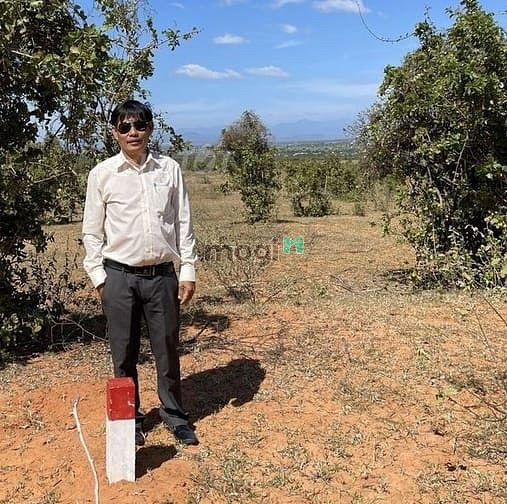 Hình ảnh 🔥Đất bình thuận giá chỉ 70.000/m2🔥🌳🌳