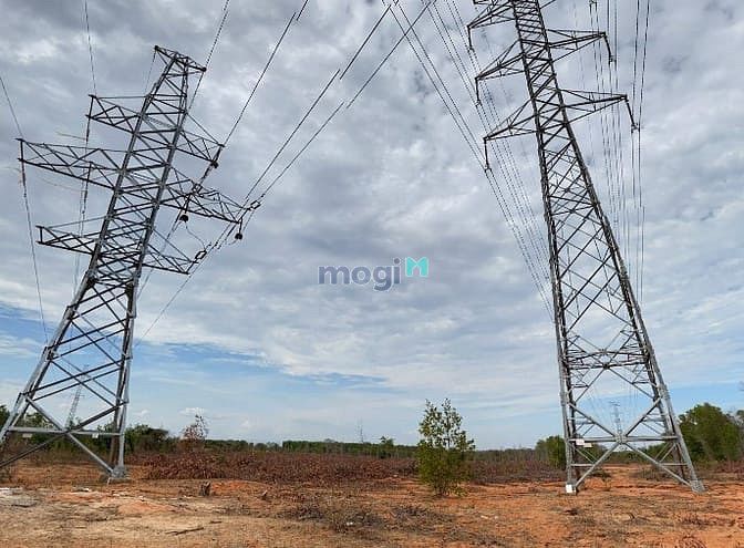 Hình ảnh 🔥Đất bình thuận giá chỉ 70.000/m2🔥🌳🌳