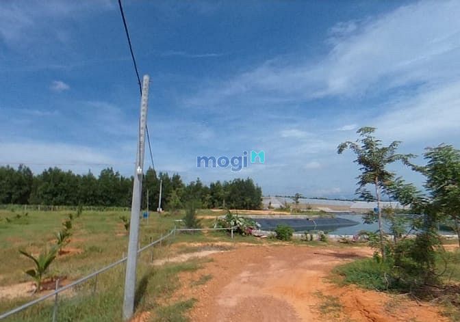 Hình ảnh 🔥Đất bình thuận giá chỉ 70.000/m2🔥🌳🌳