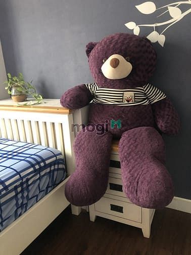 Hình ảnh Cho Thuê CHCC Topaz City Full Nội Thất 2Pn
