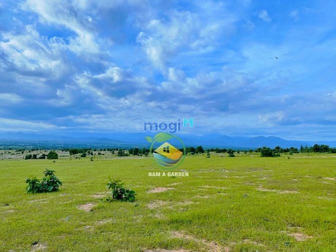 Hình ảnh Sang lô đất gần sân bay Phan Thiết, Số sẵn giá rẻ
