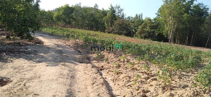 Hình ảnh Bán 2.3 ha đất Tân Đức, Hàm Tân chưa qua Trang MB66.COM Chính Thức - MB 66 Uy Tín