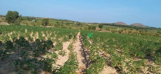 Hình ảnh Bán 2.3 ha đất Tân Đức, Hàm Tân chưa qua Trang MB66.COM Chính Thức - MB 66 Uy Tín