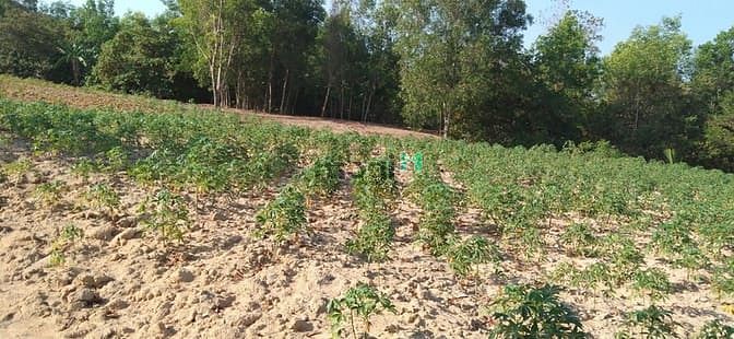 Hình ảnh Bán 2.3 ha đất Tân Đức, Hàm Tân chưa qua Trang MB66.COM Chính Thức - MB 66 Uy Tín