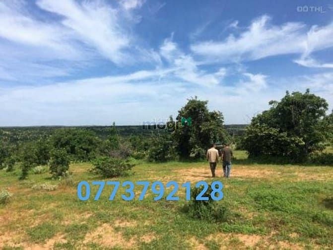 Hình ảnh ĐẤT BÌNH THUẬN GIÁ CHỈ 70.000/m2, Ven biển, cạnh sân bay.