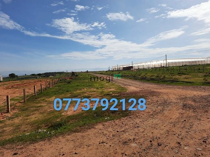 Hình ảnh ĐẤT BÌNH THUẬN GIÁ CHỈ 70.000/m2, Ven biển, cạnh sân bay.
