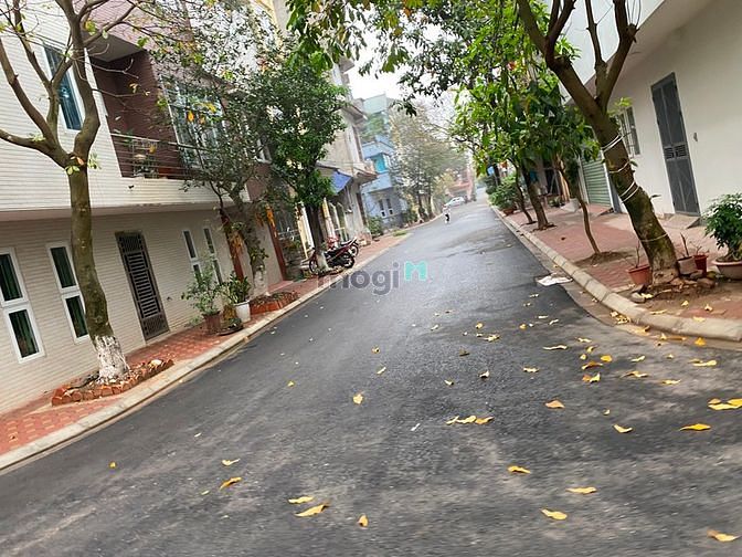 Hình ảnh Bán đất TĐC Giang Biên, view vườn hoa, khổ siêu đẹp