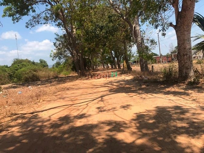 Hình ảnh Đất 4400 m2 . Hàm tân bình thuận. Giá 2 tỷ
