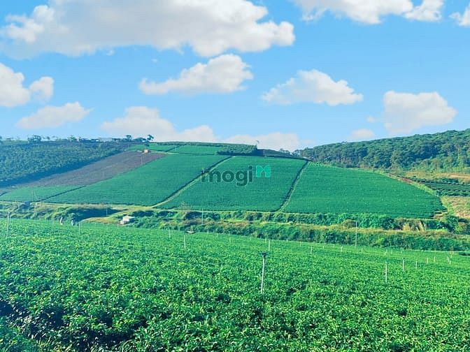 Hình ảnh Cao Tốc, Khí Hậu,View Đẹp, Sổ Hồng Từng Nền, Điểm Sáng Mb6623 phiên bản mới nhất