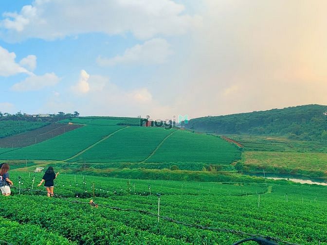 Hình ảnh Cao Tốc, Khí Hậu,View Đẹp, Sổ Hồng Từng Nền, Điểm Sáng Mb6623 phiên bản mới nhất