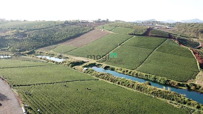 Hình ảnh Cao Tốc, Khí Hậu,View Đẹp, Sổ Hồng Từng Nền, Điểm Sáng Mb6623 phiên bản mới nhất