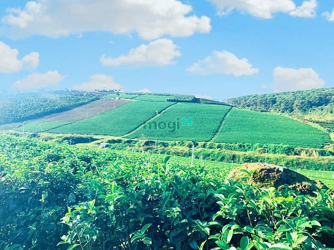 Hình ảnh Cao Tốc, Khí Hậu,View Đẹp, Sổ Hồng Từng Nền, Điểm Sáng Mb6623 phiên bản mới nhất
