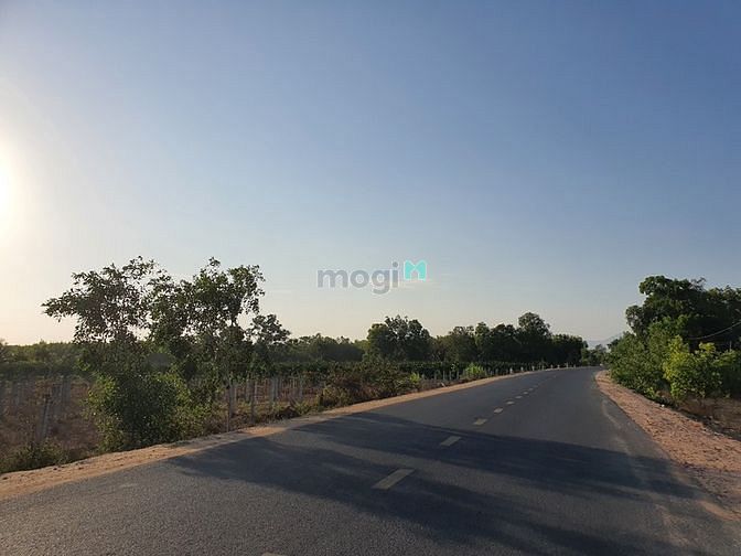 Hình ảnh Bán 7775m2 Lê Quang Định, thị xã LaGi sinh lời tốt