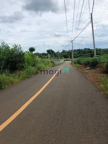 Hình ảnh Đất Hưng Thịnh - Trảng Bom , đường nhựa , điện 3 pha đã tách 11 sổ