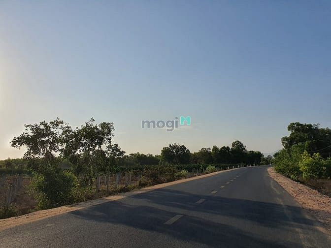 Hình ảnh Bán 7775m2 Lê Quang Định, thị xã LaGi sinh lời tốt